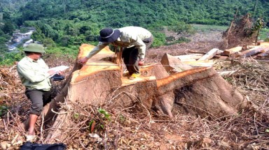  Quảng Nam 'gánh' 47 công trình thủy điện