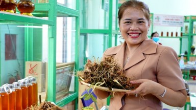 Phát triển du lịch sâm và cây dược liệu ở Nam Trà My