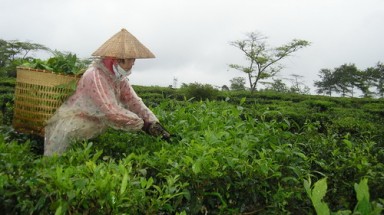 Bắc Bộ và Bắc Trung Bộ: Chiều tối, đêm nay cần đề phòng tố lốc, mưa đá