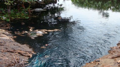  Phương pháp mới để xử lý nước thải dệt nhuộm