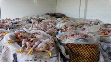  Bình Dương: Một nhà hàng đãi tiệc cưới bằng... thịt thối