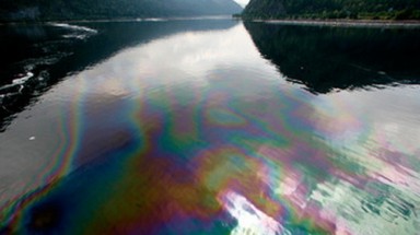  Tràn dầu gây ô nhiễm Bắc cực