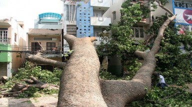 Bài học sau bão số 1