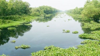 Kênh rạch bị "đầu độc"... theo chu kỳ