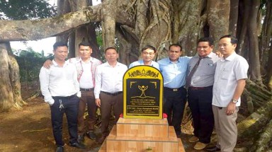 Cây cổ thụ đầu tiên của tỉnh Đắk Nông được công nhận Cây di sản Việt Nam