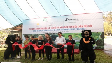 Khánh thành nhà gấu đôi số 9 và 10 với hai khu bán tự nhiên chăm sóc gấu tại Trung tâm Cứu hộ Gấu Việt Nam
