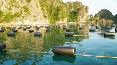  Kết nối cung - cầu: "Muốn đi xa hãy đi cùng nhau"!