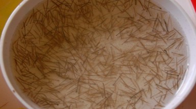  Khuyến cáo ngừng dùng thảo dược xử lý nước nuôi tôm