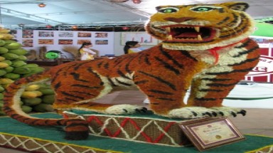 Hổ, ba ba làm từ...xơ dừa