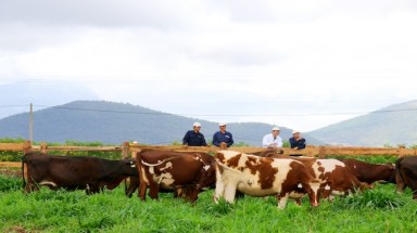   Phát triển bền vững là nền tảng phát triển cho mọi thành phần