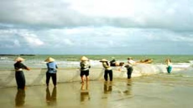  Cần hạn chế đánh bắt hải sản mang tính tận diệt ở Bạc Liêu 