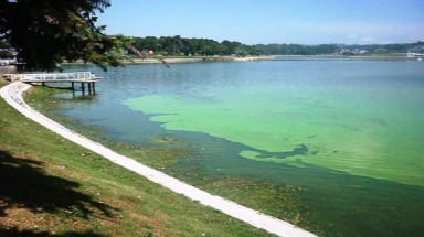 Xử lý ô nhiễm hồ Xuân Hương bằng cách nào?