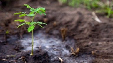 Nhân Ngày Trái đất 22/4: Hai mặt của hành tinh xanh