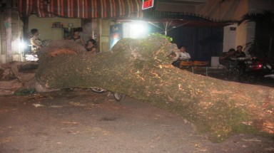 TP.HCM vẫn ngổn ngang sau bão