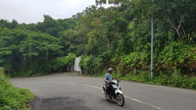 Sẽ chuyển sai phạm ở Sơn Trà cho cơ quan điều tra
