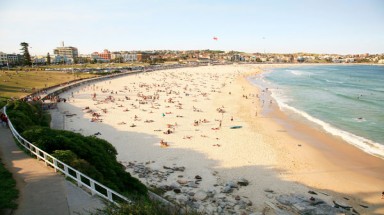  Dùng lưới chặn cá mập vào bãi tắm