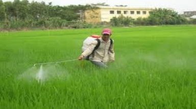  Nghệ An: Tập trung xử lý các điểm ô nhiễm môi trường 