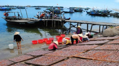 Mưu sinh trên bến cá