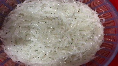 Bí ẩn loài cá hiếm sông Đà trong như thủy tinh, mềm hơn bún
