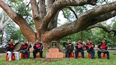 Giữ "vàng xanh" Di sản