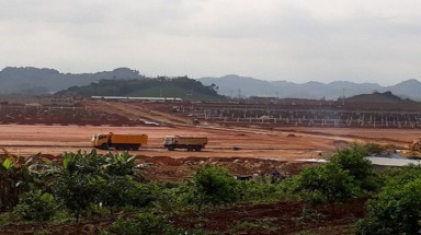 Nghệ An: Tạm dừng thi công trang trại nuôi lợn 1.000 tỉ đồng của Masan