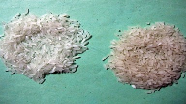  Không có chuyện "gạo giả"?