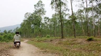  Nguy hiểm dự án nuôi lợn đầu nguồn nước