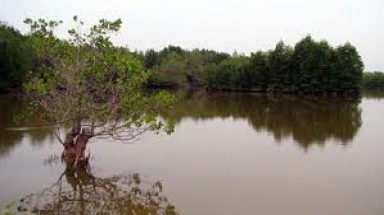  Nước mặn lên tới thành phố Bến Tre