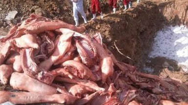 Kiểm điểm Phó Chủ tịch xã chỉ đạo chôn thịt lợn thối trong Nghĩa trang liệt sỹ 