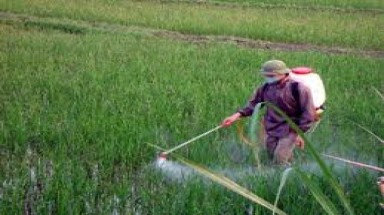  Vĩnh Phúc: Môi trường nông thôn xuống cấp, ảnh hưởng đến đời sống nông dân