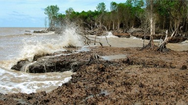 Phát triển bền vững Đồng bằng sông Cửu Long thích ứng biến đổi khí hậu