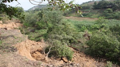 Thu hồi các dự án khai thác cát trên sông Đồng Nai