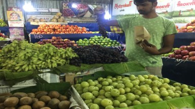 "Tôi là túi có thể phân hủy, không phải túi nhựa"