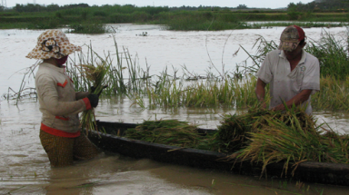  Thủy điện xả lũ, người dân lo lắng