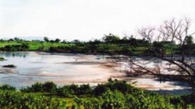 Ninh Thuận: xử lý nghiêm nhà máy gây ô nhiễm môi trường