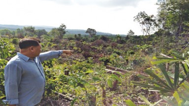  Đua nhau phá rừng phòng hộ