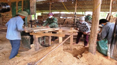 Bà Rịa-Vũng Tàu: Cần sớm di dời xưởng cưa gây ô nhiễm ra khỏi khu dân cư