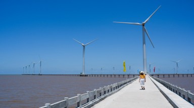 Về Bạc Liêu ngắm cánh đồng quạt gió trên biển