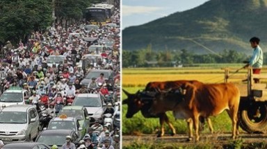 cả năm đọc không hết một cuốn sách, tri thức ở đâu?