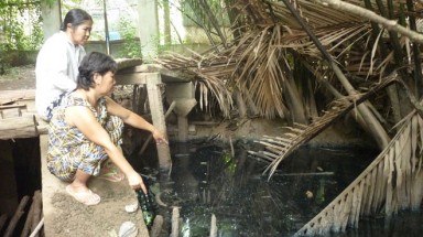 Bến Tre sẽ thành lập đội đặc nhiệm "bảo vệ" môi trường