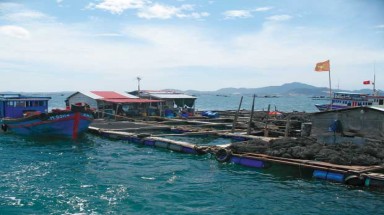 Người Trung Quốc nuôi cá trên vịnh Cam Ranh