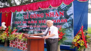  Cây Sanh 79 gốc ở Hòa Bình trở thành cây Di sản 