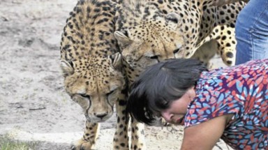  Anh: Kinh hoàng cảnh báo gặm cổ du khách