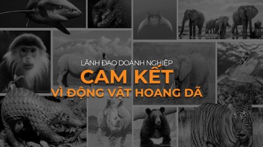  Doanh nghiệp “Cam kết vì Động vật hoang dã"
