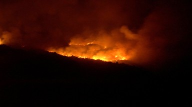  Ảnh dập lửa cháy rừng đặc dụng Nam Hải Vân