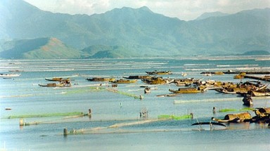 Nắng nóng ảnh hướng lớn đến môi trường nuôi trồng thủy sản ở Thừa Thiên - Huế