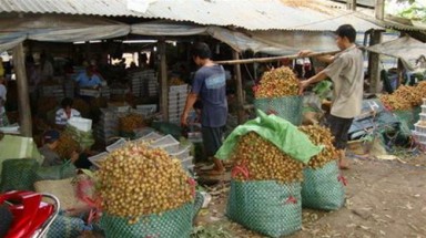 Đến xứ sở... “bao bụng” và “bao bịch”