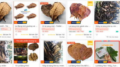 Lá bàng khô rao bán rầm rộ 1.000 đồng/lá