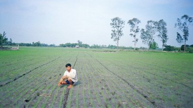 Trà Vinh: Xây dựng mô hình tiết kiệm nước trong nông nghiệp 