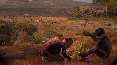 Giả thuyết mới về nguồn gốc loài người